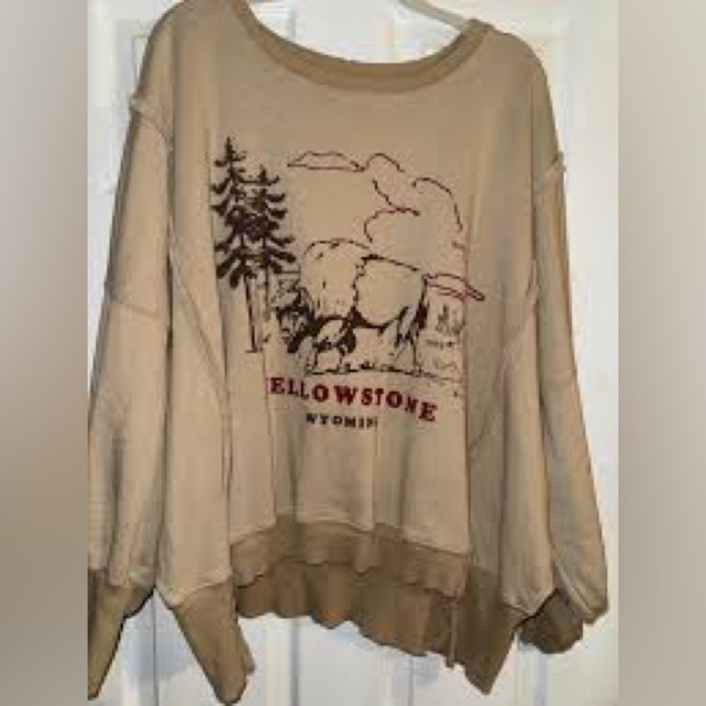 Free People Beige Yellowstone Graphic Long Sleeve Tee - Picture 9 of 14